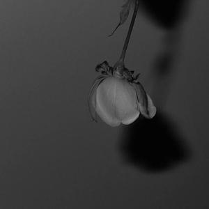 肥岳啊～啊你tm别㖭了
